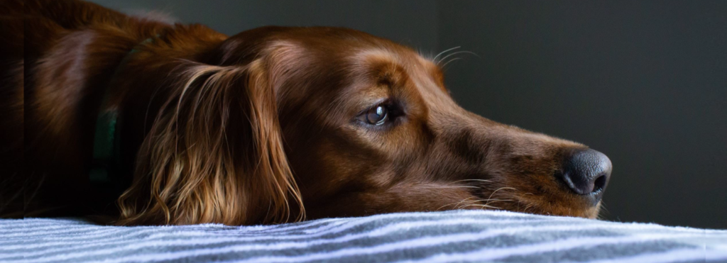 Tips to beat procrastination