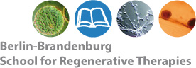 Berlin-Brandenburg School for Regenerative Therapies