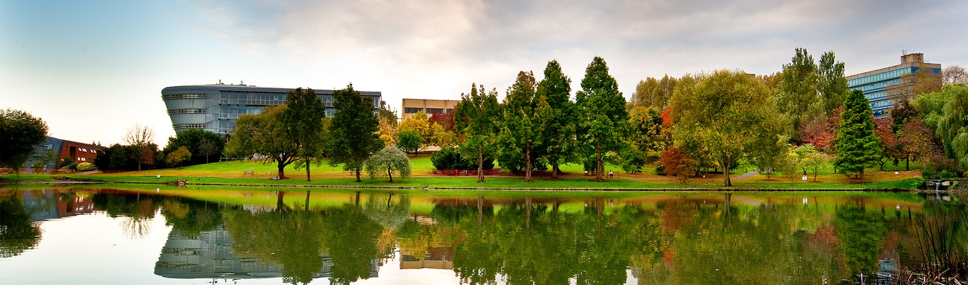 University of Surrey