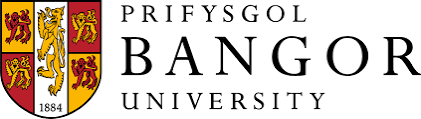 Study MSc in Business Data Analytics at Bangor University. Apply now