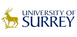 Nine reasons to become a Surrey Black Scholars postgraduate researcher Logo