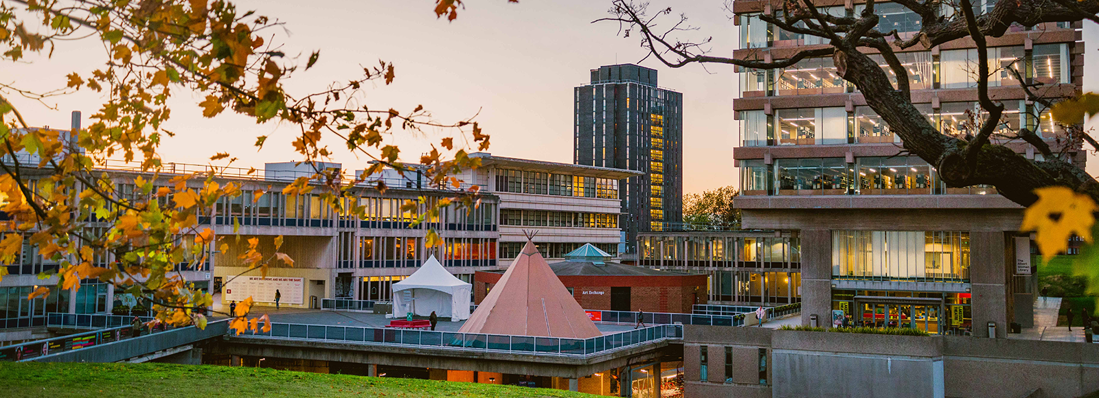 University of Essex