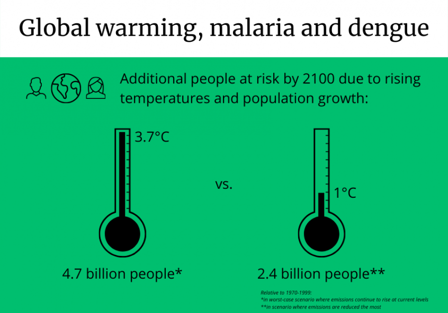 Malaria and dengue predicted to affect billions more people if global warming continues uncurbed