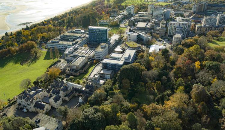 Lush Parkland and Beachside Habitats: Swansea University Ranked among the Country’s Best Green Spaces.